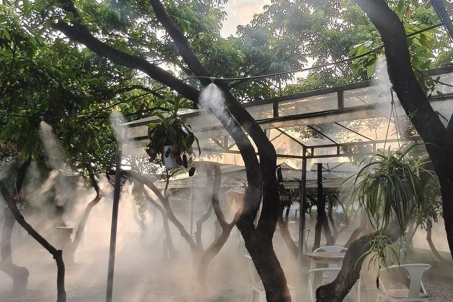 会野部落迳口基地清晨庭院，水雾中的树影与座椅，一个可以坐下来慢慢说话的院子