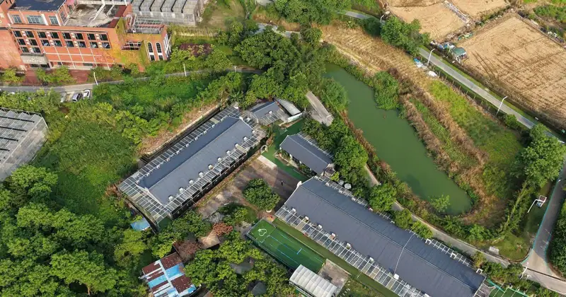 深圳进了数字游民增速榜前五，但很少人为了度假