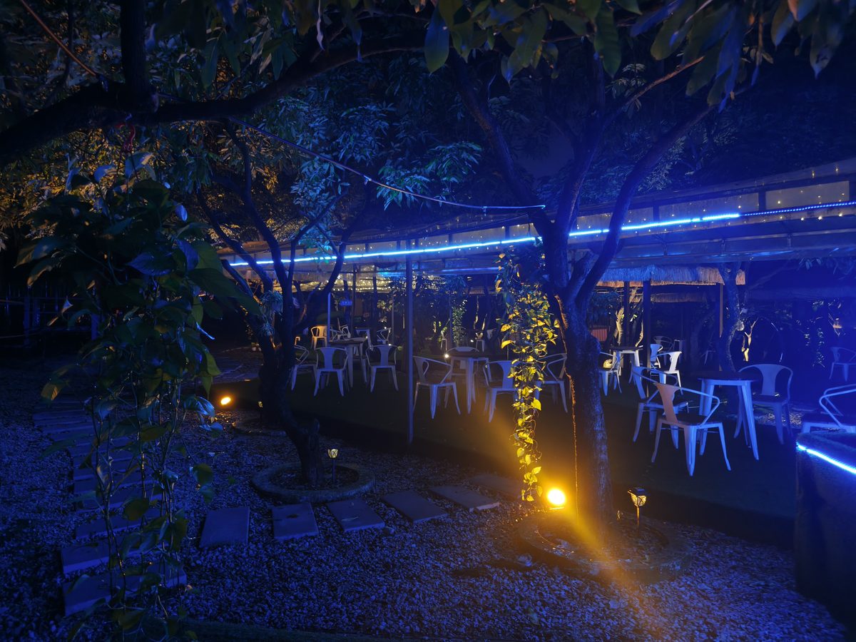 会野部落迳口基地的夜晚:日咖夜酒的灯火与露天影音